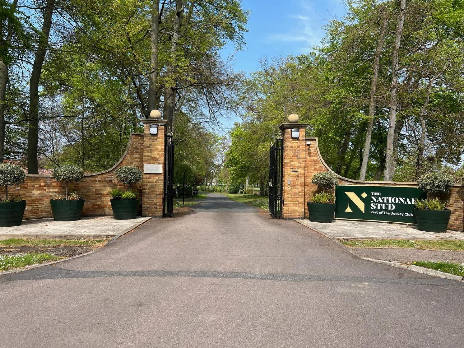 Citrine Apartments: Modern Racer's Retreat With Parking * Newmarket (Suffolk)